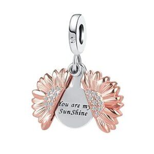 You are my SunShine Sterling Silver compatible with Pandora